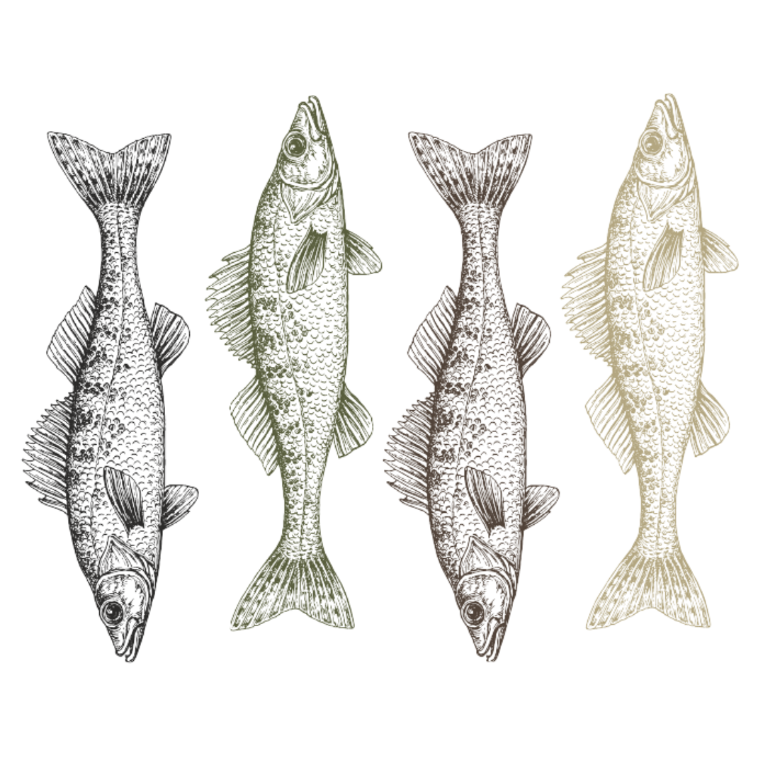 Ceramic Coffee Mugs | Natural Walleye