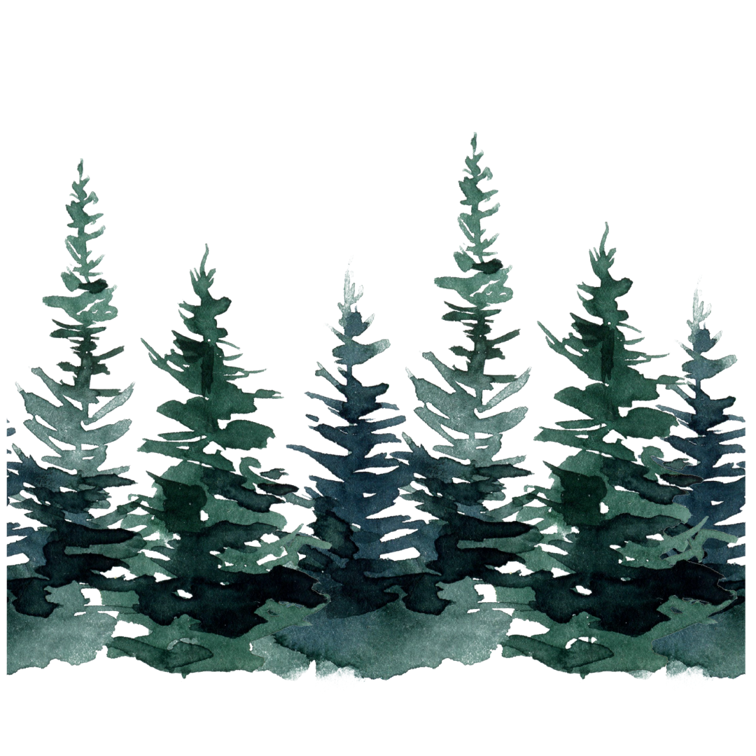 Insulated Can Cooler | Watercolor Pines Wrap