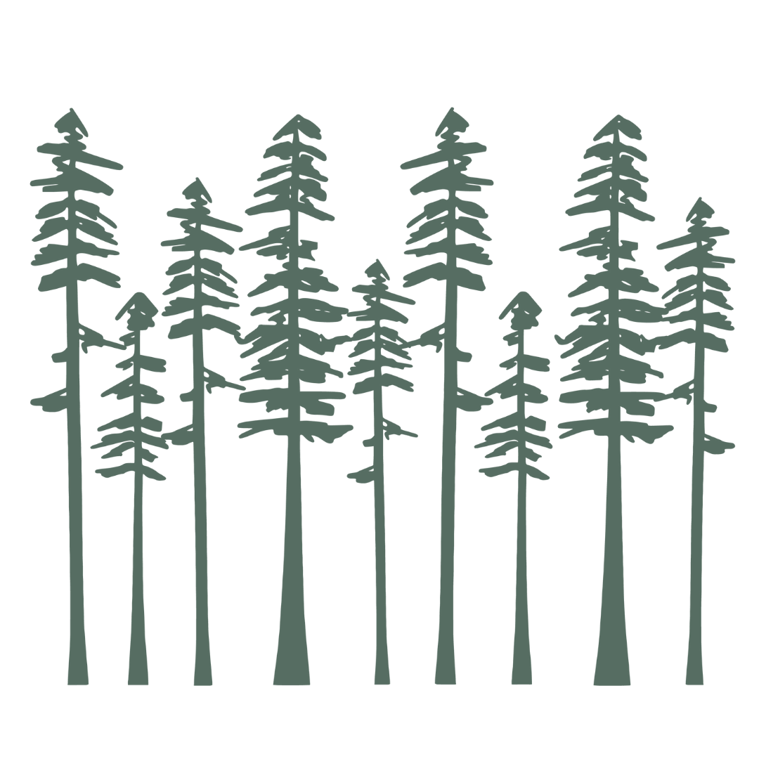 Short Tumbler | Pine Doodles Wrap