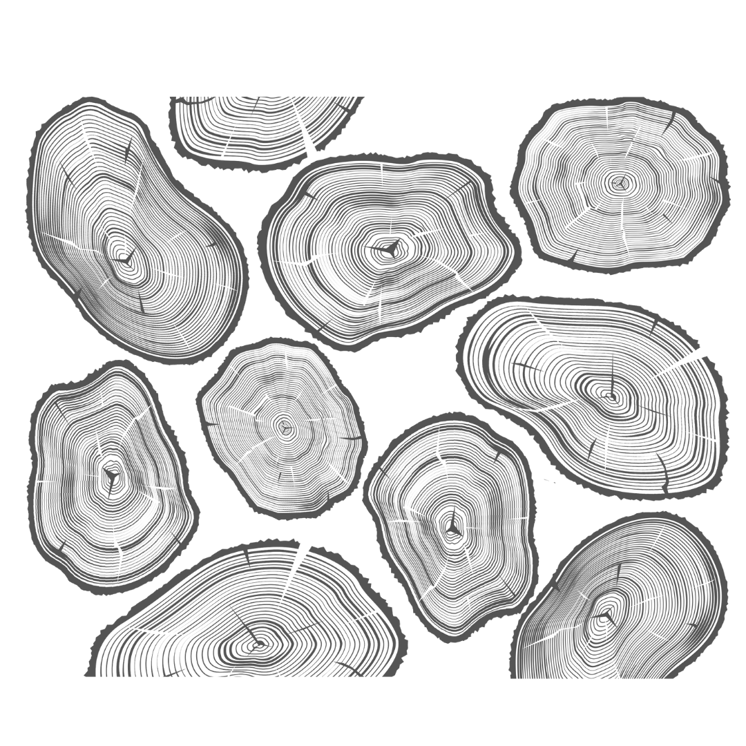 Insulated Tumblers | Tree Rings Wrap