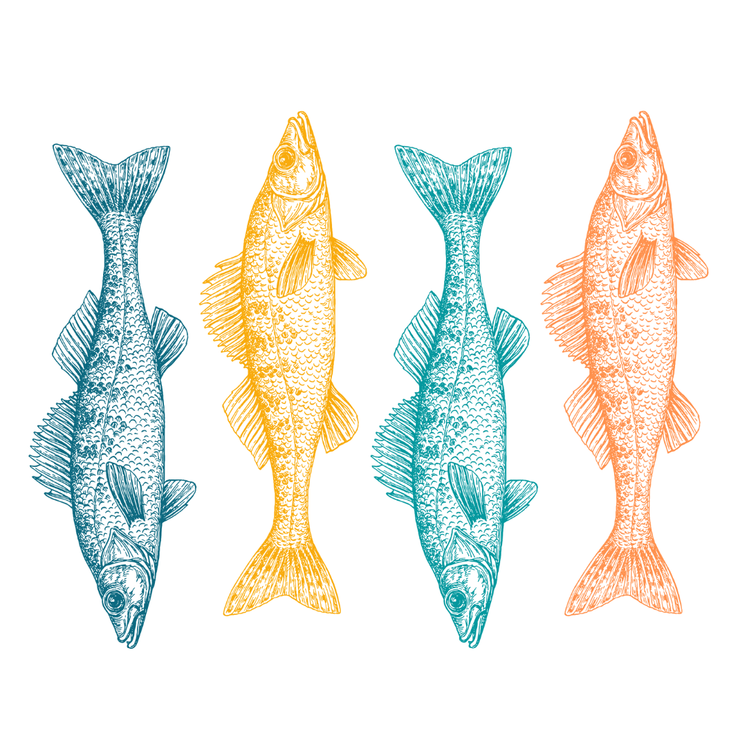 Insulated Skinny Cooler | Colorful Walleye Wrap