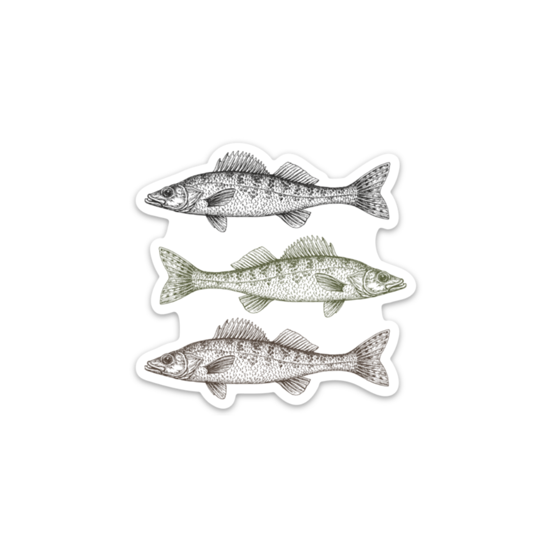 Natural Walleye | Stickers