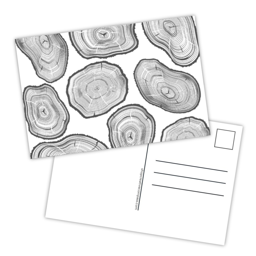 Postcard | Tree Rings *discontinued*