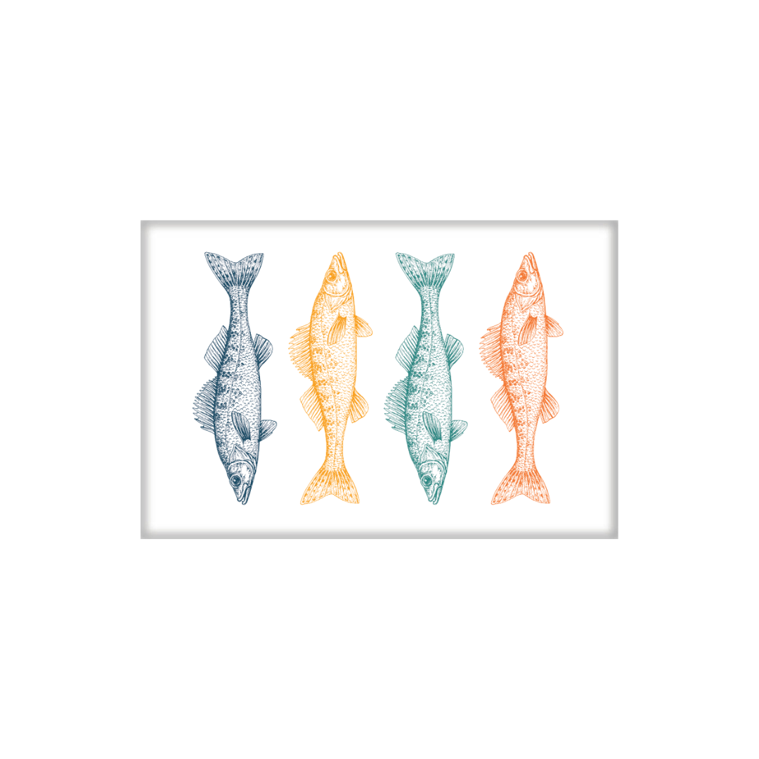Magnet | Colorful Walleye