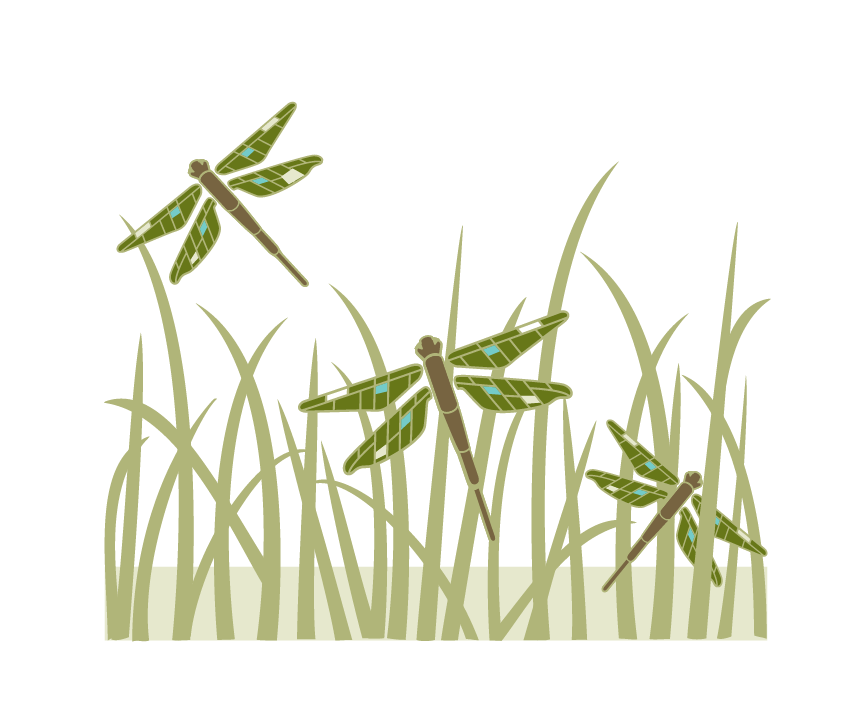 Insulated Camp Mug | Dragonfly Wrap