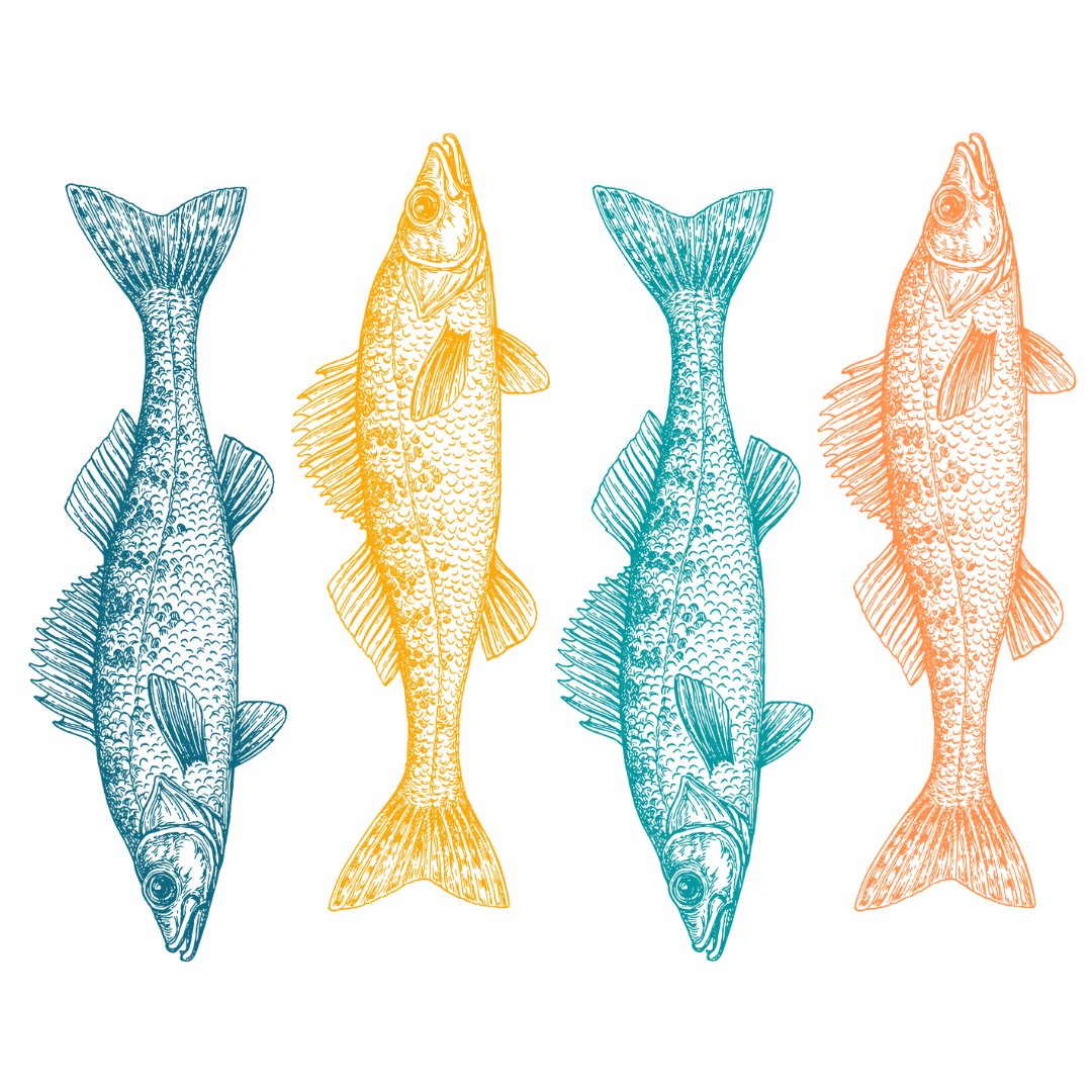 Ceramic Coffee Mug | Colorful Walleye