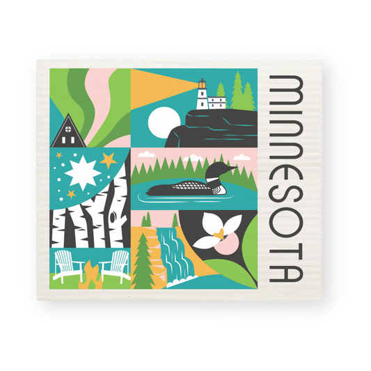 Swedish Dishcloth | MN Square Scenes