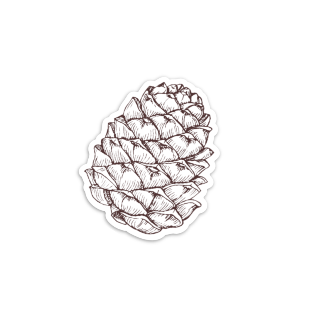 Pine Cone | Stickers