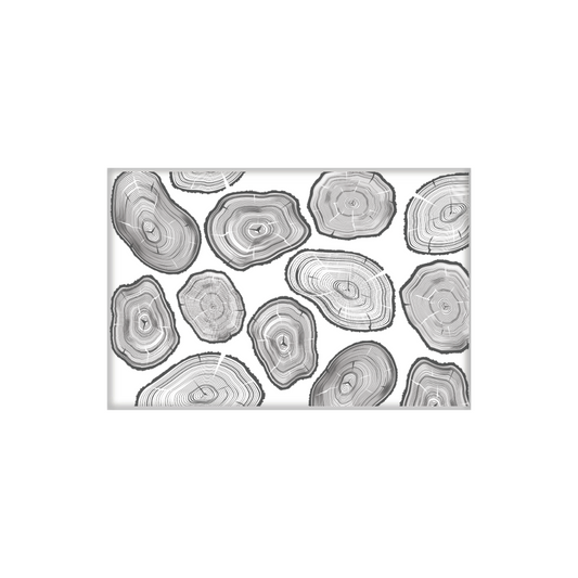 Magnet | Tree Rings *discontinued*