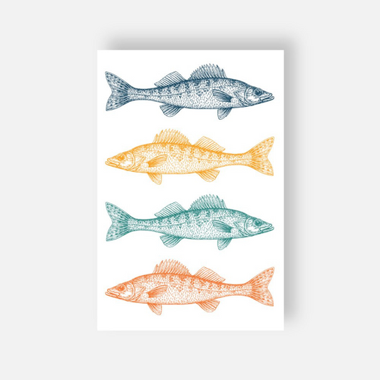 Postcard | Colorful Walleye