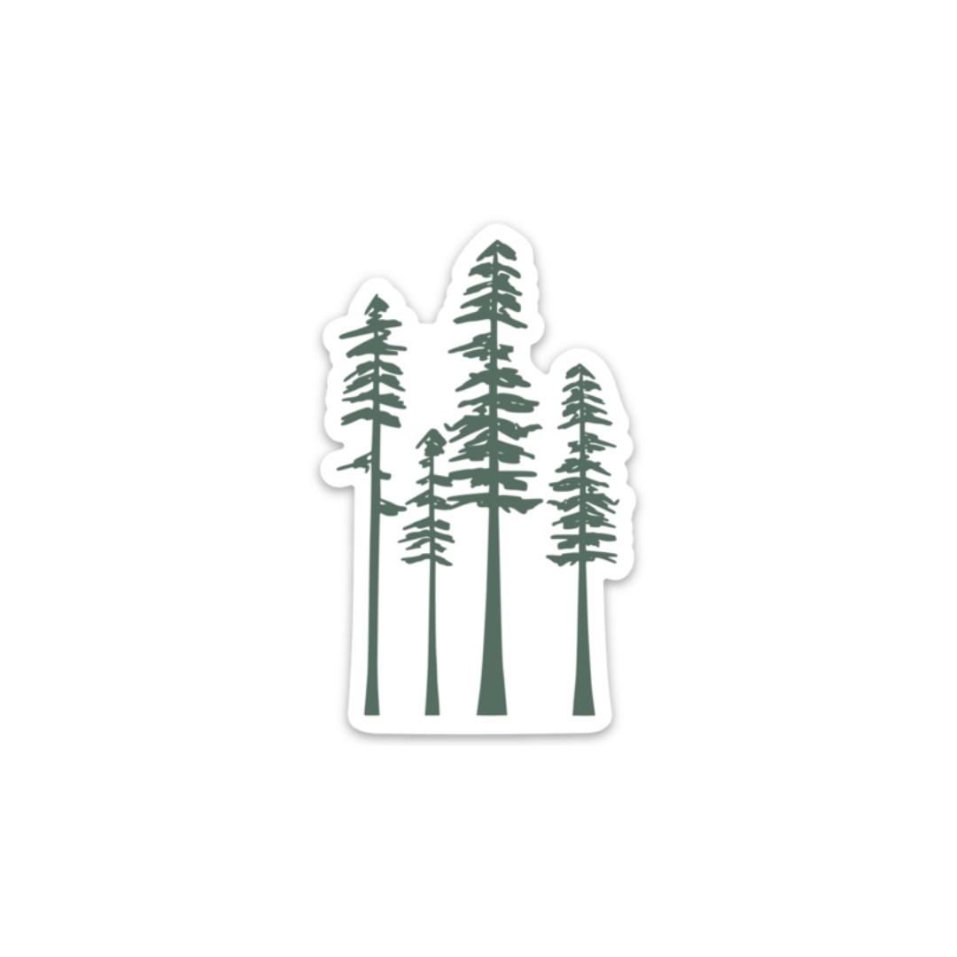 Pine Doodle | Sticker