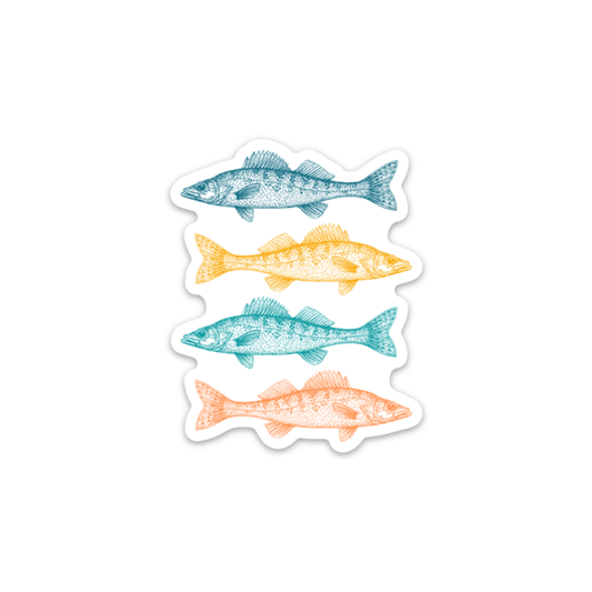 Colorful Walleye | Sticker