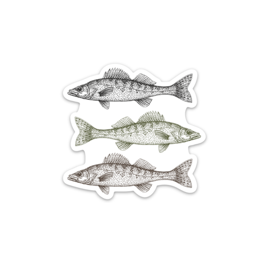 Natural Walleye | Stickers