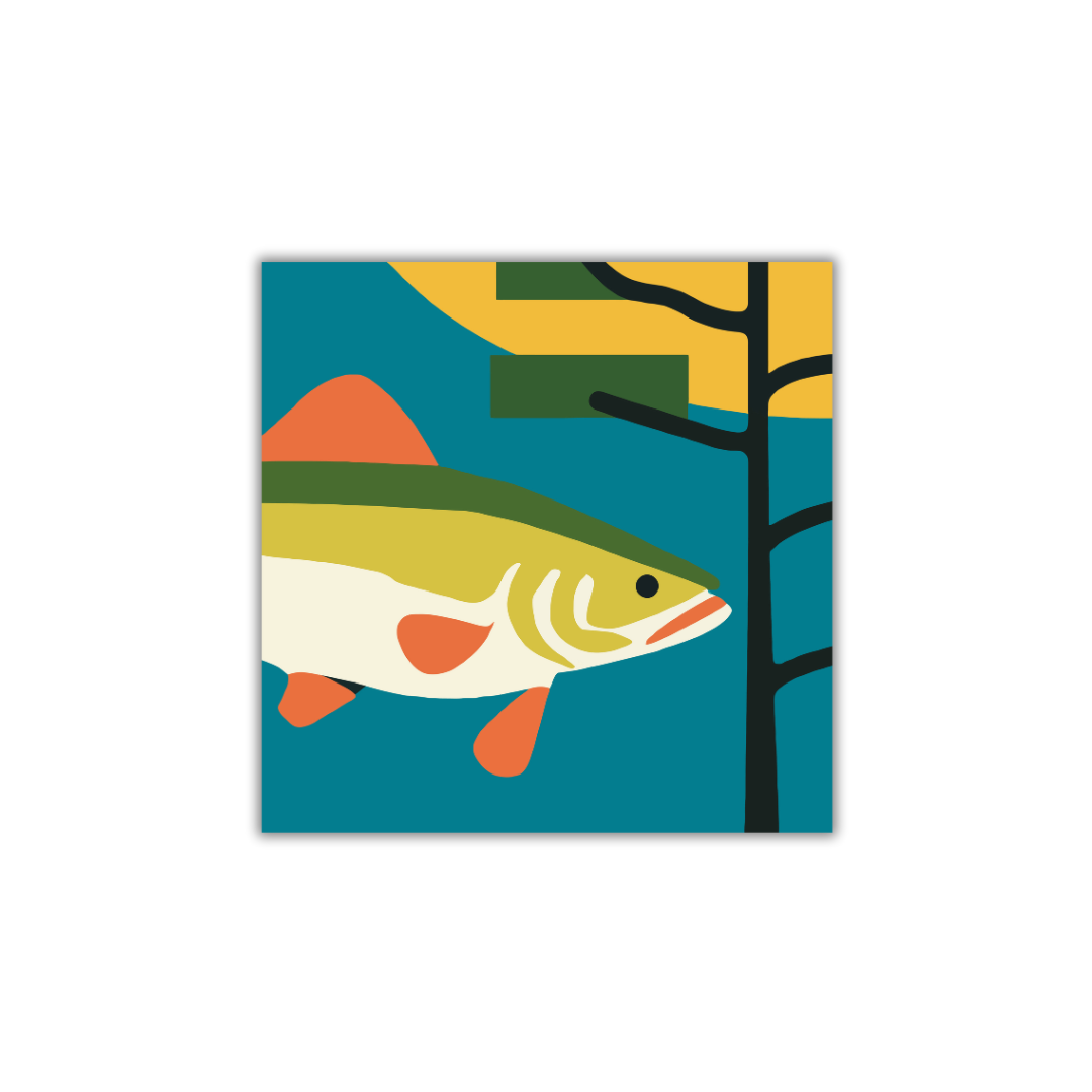 TAALLA Walleye | Sticker
