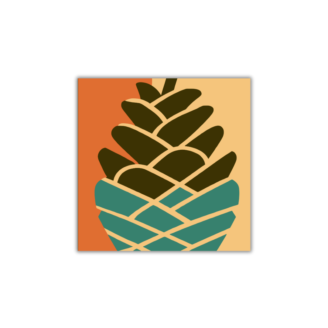 TAALLA Pinecone | Sticker
