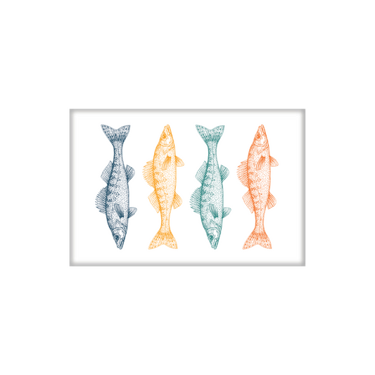 Magnet | Colorful Walleye