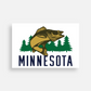 Postcard | Walleye Minnesota