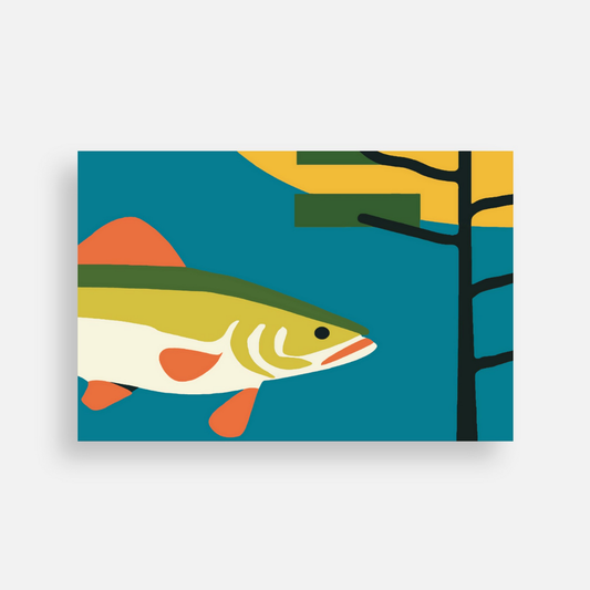 Postcard | TAALLA Walleye