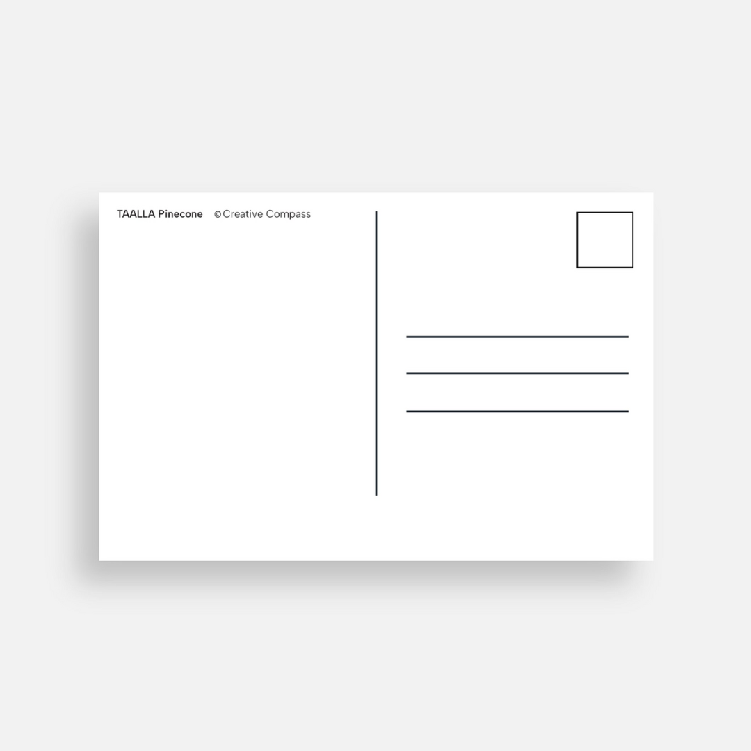 Postcard | TAALLA Pinecone