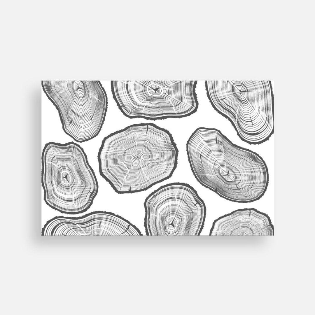 Postcard | Tree Rings *discontinued*