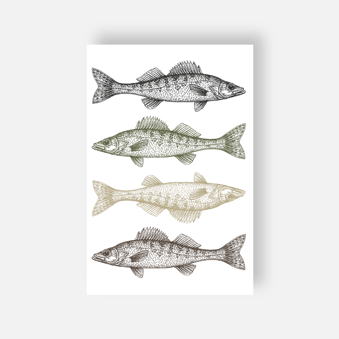 Postcard | Natural Walleye