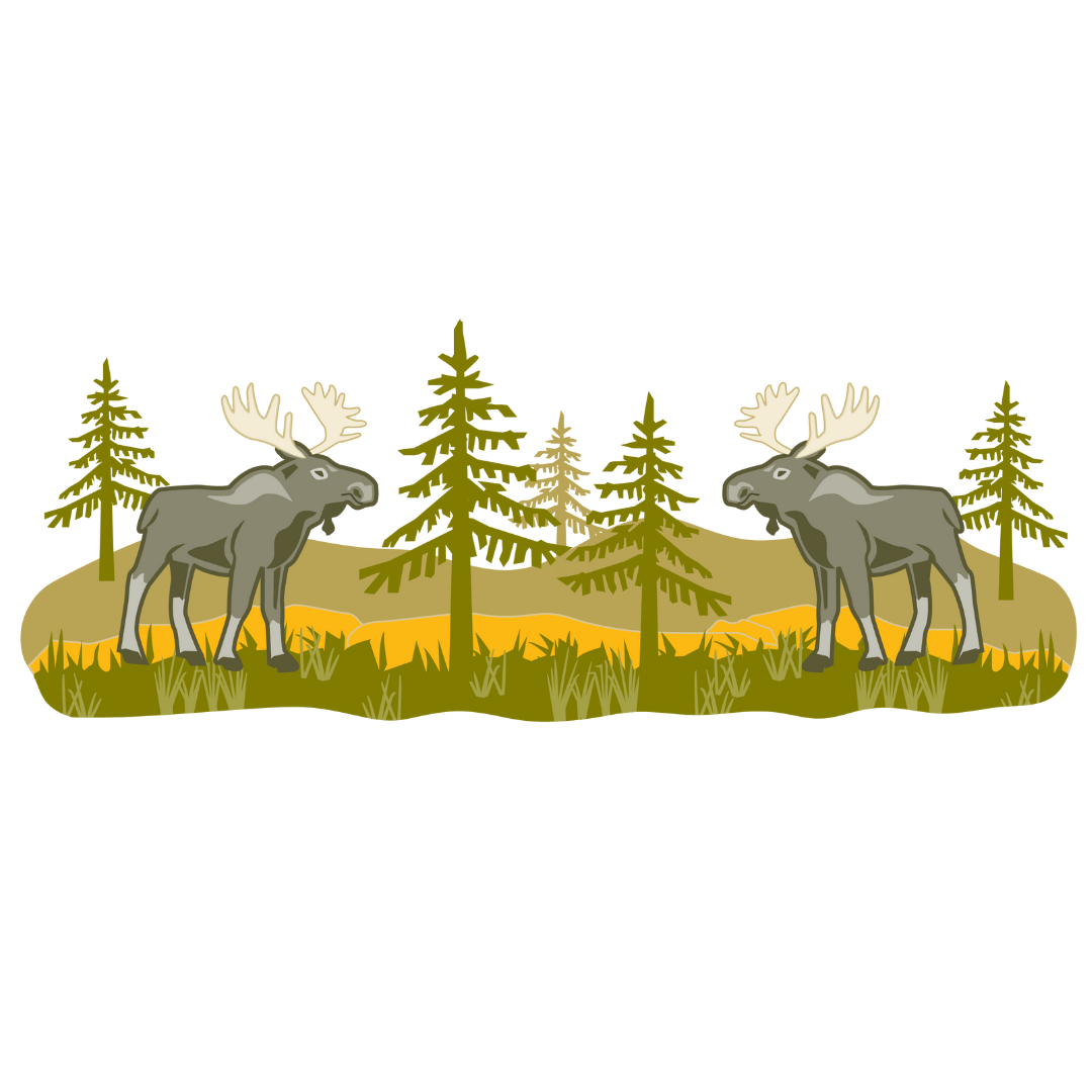Moose Insulated Drinkware