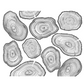 Tree Rings Insulated Drinkware